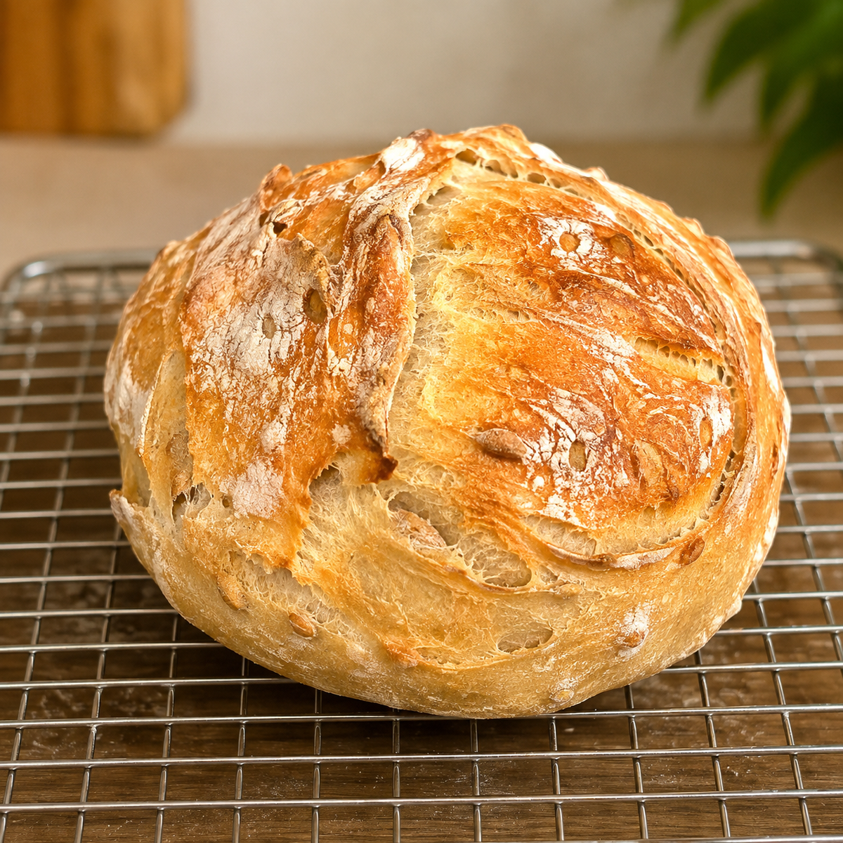 Sourdough Bread